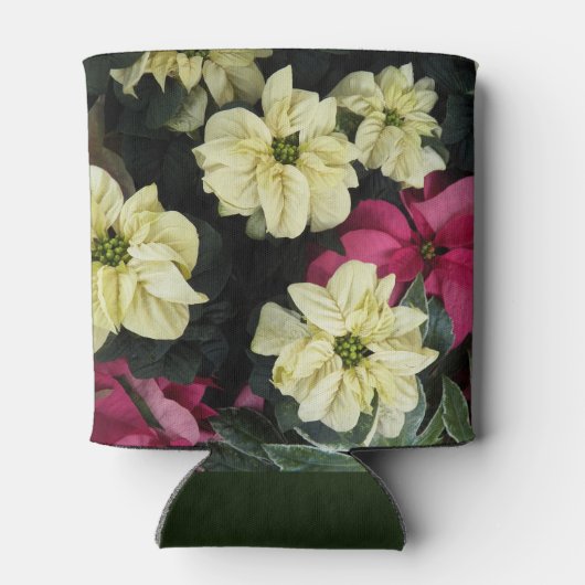 Saisonale Feiertage Poinsettias Dosenkühler (Rückseite)