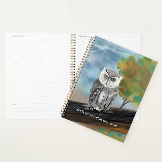 Saisonale Owl Malerei in Nature Wonders Planer (Anzeige)