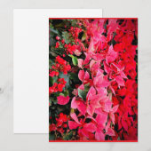 Saisonale Pracht Feiertagskarte (Vorne/Hinten)