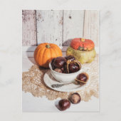 Saisonale rustikale Kastanien & Kürbis Stillleben Postkarte (Vorderseite)