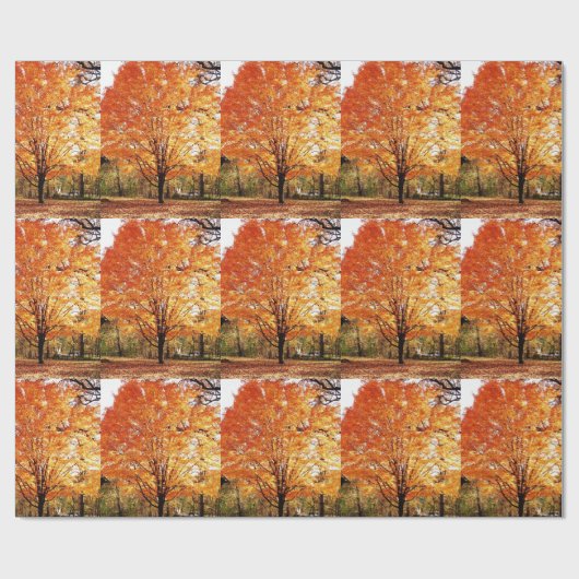 Saisonaler Ahornblätterbaum / Orangefarbene Blätte Geschenkpapier (Flach)