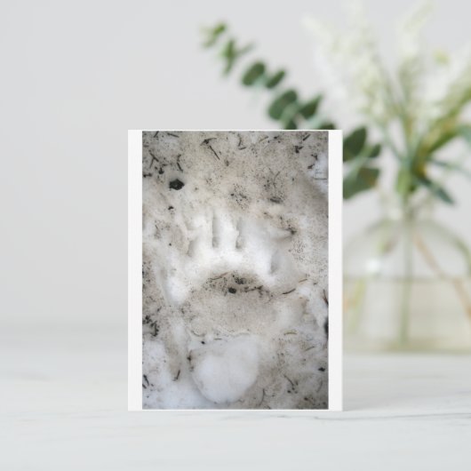 Saisonbeginn Postkarte (Stehend Vorderseite)