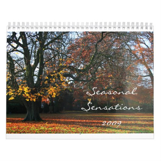 Saisonempfindungen 2009 kalender (Titelbild)