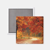 Saisonfarben des Herbstes Magnet (Vorderseite/Rückseite)