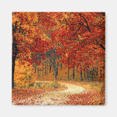 Saisonfarben des Herbstes Magnet (Vorne)