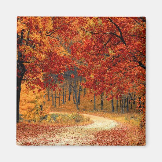 Saisonfarben des Herbstes Magnet (Vorne)