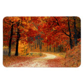 Saisonfarben des Herbstes Magnet (Horizontal)