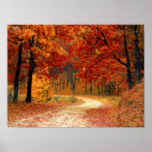 Saisonfarben des Herbstes Poster (Vorne)