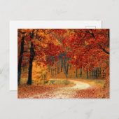 Saisonfarben des Herbstes Postkarte (Vorne/Hinten)