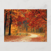 Saisonfarben des Herbstes Postkarte (Vorderseite)