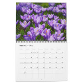 Saisonfotografie ändern kalender (Feb 2027)