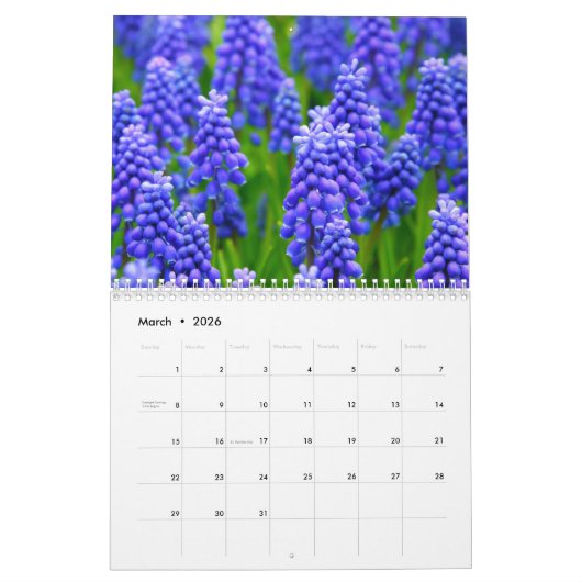 Saisonkalender 2026 kalender (Mär 2026)