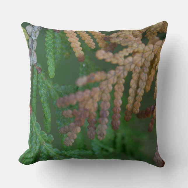 Saisons Kissen (Vorderseite)