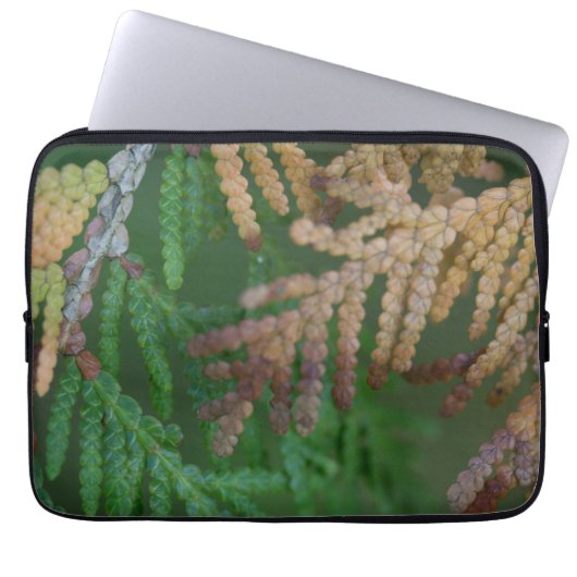 Saisons Laptopschutzhülle (Vorderseite)