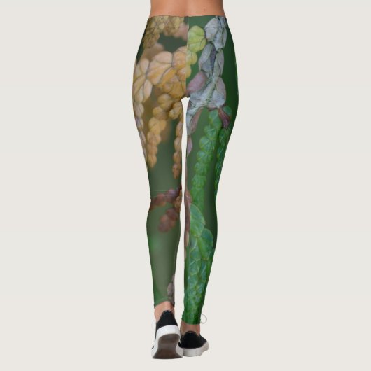 Saisons Leggings (Rückseite)