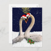 Saisonschwäne Weihnachtspostkarte Feiertagspostkarte (Vorne/Hinten)