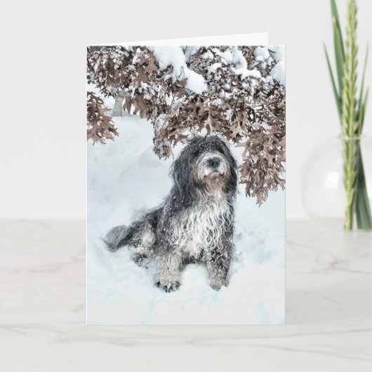 Saisonwechsel Karte (Vorderseite)