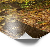 Sakatah Singing Hills Staat  Wandern Foto Printing (Ecke)