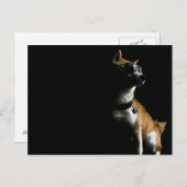 Saké Suave Postcard Postkarte (Vorne/Hinten)