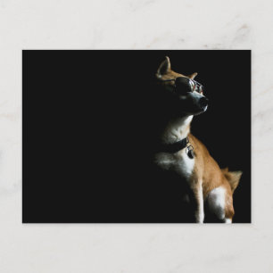 Saké Suave Postcard Postkarte