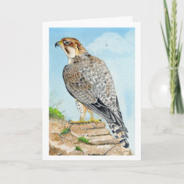 Saker Peregrine Falcon Geburtstagskarte Karte