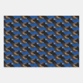 Sakerfalke/Adler/Barschenauge Geschenkpapier Set (Vorderseite 2)