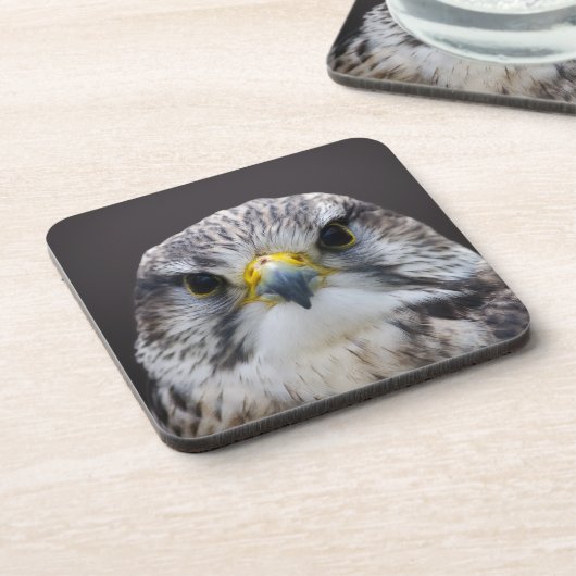 Sakerfalke Untersetzer (Linke Seite)