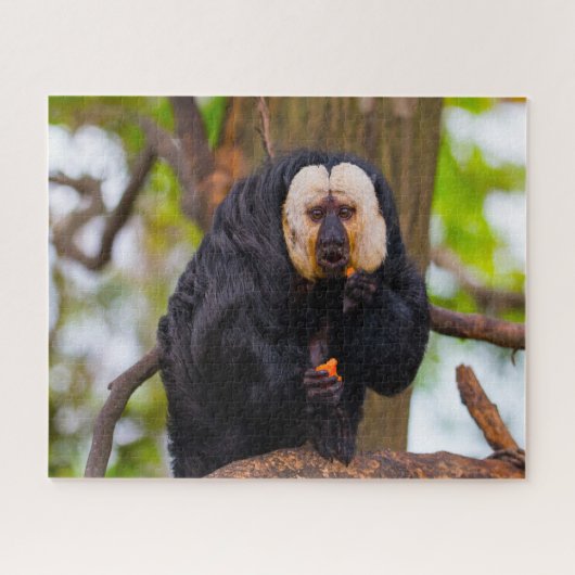 Saki-Affen. Puzzle (Horizontal)
