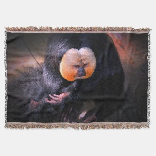 Saki Decke (Vorderseite)