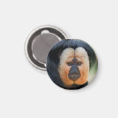 Saki Magnet (Vorderseite/Rückseite)