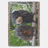 Saki Monkeys Decke (Vorderseite Vertikal)