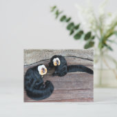 Saki Monkeys Postcard Postkarte (Stehend Vorderseite)