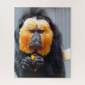 Saki Monkeys. Puzzle (Vertikal)