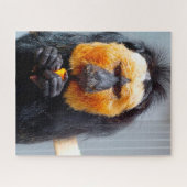 Saki Monkeys. Puzzle (Horizontal)