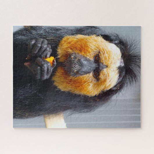 Saki Monkeys. Puzzle (Horizontal)