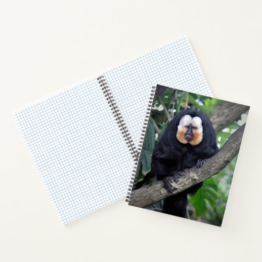 Saki Notizblock (Innenseite)