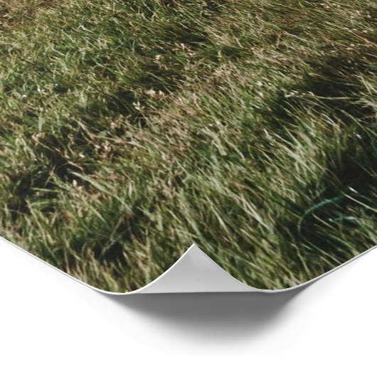 SAKSUN, LANDWIRTE POSTER (Ecke)