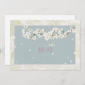 Sakura (Vorne/Hinten)