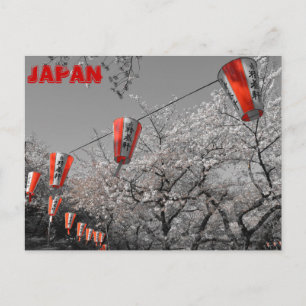 Sakura 2014 Postkarte