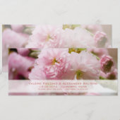 Sakura Ankündigung Datum freihalten (Vorne/Hinten)