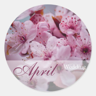 Sakura ・ April Wedding Sticker