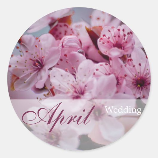 Sakura ・ April Wedding Sticker (Vorderseite)