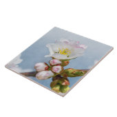 Sakura Blossom Fliese (Seite)