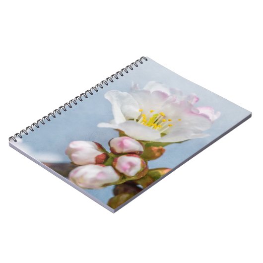 Sakura Blossom Notizblock (Linke Seite)