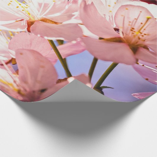 Sakura blüht an sonnigen Tagen Geschenkpapier (Ecke)