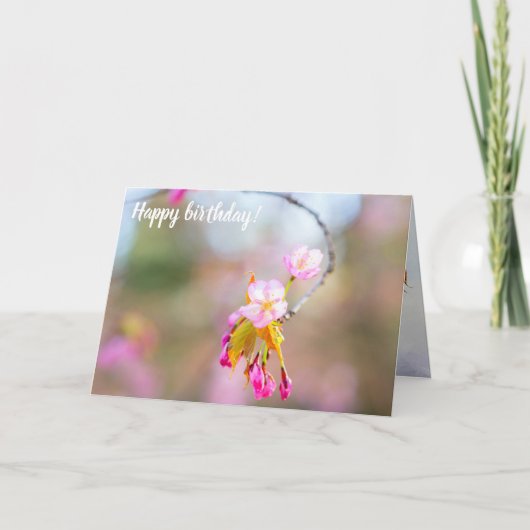 Sakura Blume auf einem Tipp der Twig. Time Helix Karte (Vorderseite)