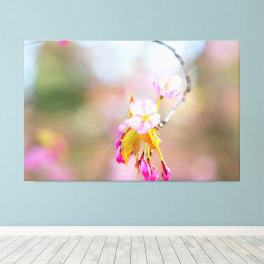 Sakura Blume auf einem Tipp der Twig. Time Helix Leinwanddruck (Insitu (Holzboden))
