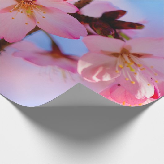 Sakura-Blume auf vertikaler Seite Geschenkpapier (Ecke)