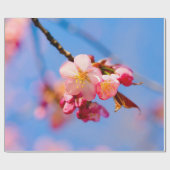 Sakura Blume, Buds und Blauer Himmel Geschenkpapier (Flach)