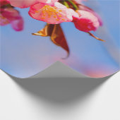 Sakura Blume, Buds und Blauer Himmel Geschenkpapier (Ecke)